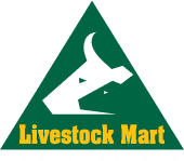 Livestock Mart Auctions